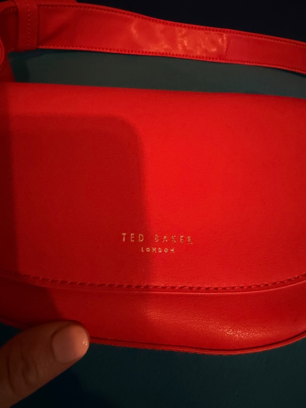 Ted Baker Crossbody Purse (Brand New)